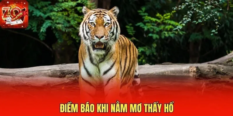 Điềm báo khi nằm mơ thấy hổ