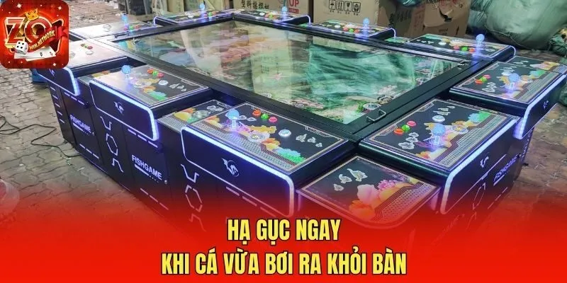 Hạ gục ngay khi cá vừa bơi ra khỏi bàn